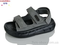 GFB-Канарейка T63-5 фото