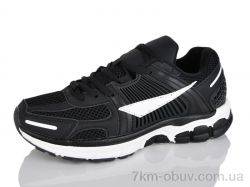 Moli B8029-3 фото