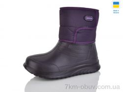 Inblue D392DF т.фіолетовий фото