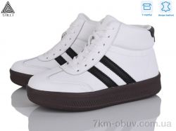 STILLI Group SD20-5 шкіра фото