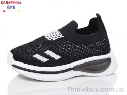 GFB-Канарейка Z6032-1 фото