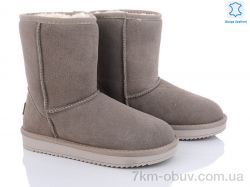 ITTS 5825-17 фото