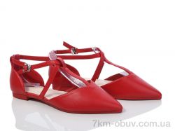 Loretta X338-4 фото