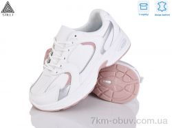 STILLI Group N300-6 шкіра піна фото