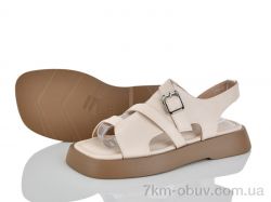 Loretta E731-3 фото