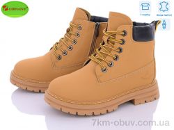 Girnaive B01 фото