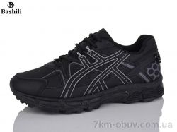 Башили Z6501-2 фото