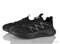 Lion-Lu A0084-1 фото