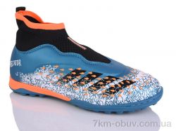 ASHIGULI 289N фото