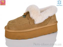 PLPS 5803 camel фото