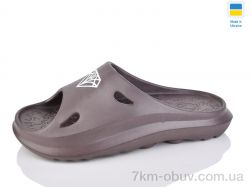 Progress Верта Ж2002 коричневий фото