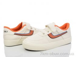 Svit AL143-71 фото