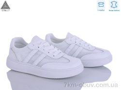 STILLI Group R160-1 шкіра фото