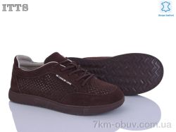 ITTS P01-5 фото
