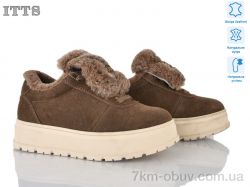 ITTS H2029-3 фото