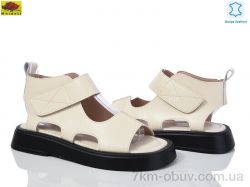 Mei De Li WTP81-3 фото