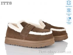 ITTS Q291-35 фото