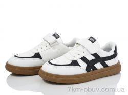 ASHIGULI 2033-1 фото