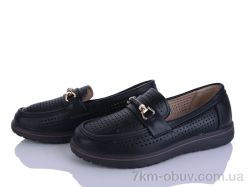 Lion-Lu 2024-64 фото