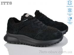 ITTS BK190-1 фото