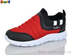 Sharif 11006-4 фото