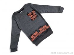 Kids-modnik 2030 сірий фото