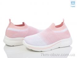 Moli L35-4 піна фото