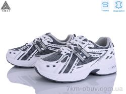 STILLI Group N350-5 шкіра фото