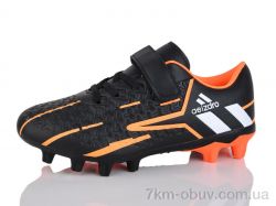 ASHIGULI C09-3 фото