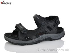 Supo-Vegas A503-1 фото