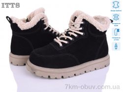 ITTS N051-2 фото