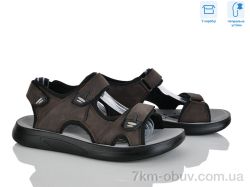 Hongquan F33-2 фото