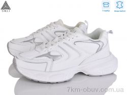 STILLI Group CX1370-2 шкіра піна фото