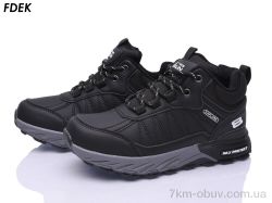 FDEK R9355-1 фото