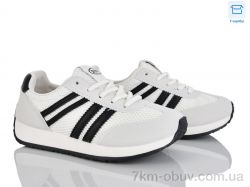 Alimama-Girnaive W805-2 фото