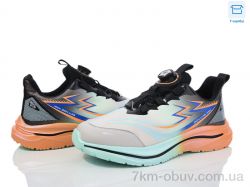 КалориЯ ZL56569 фото