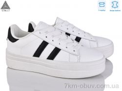 STILLI Group WA50-6 шкіра фото