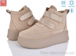 PLPS 6807-3 фото