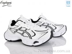 Dageni MN256-2 фото