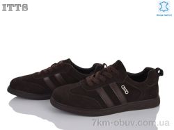 ITTS TB101-3 фото