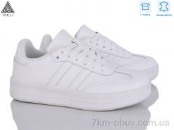 STILLI Group SD50-6 шкіра фото