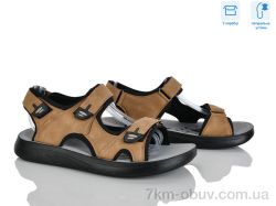 Hongquan F33-4 фото