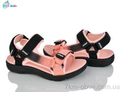 BBT L850-3-6 фото