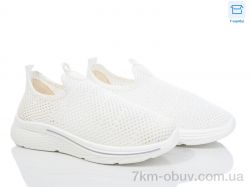 Moli L36-2 піна фото