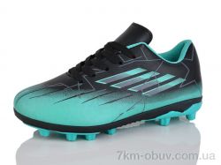 ASHIGULI C15-3 фото