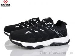 SUBA A6620-2 фото