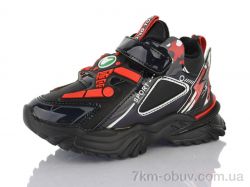 SANLIN 61-6-3105LY фото