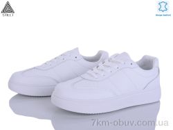 STILLI Group R210-1 шкіра фото