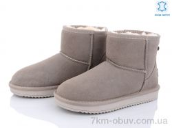 ITTS 5854-17 фото