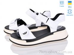 Stella 205-6 фото